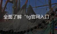 全面了解“tg官网入口”：畅享更优质的数字体验