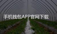 手机钱包APP官网下载:便捷支付与生活助手的完美结合