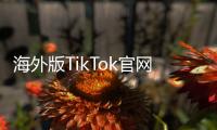 海外版TikTok官网入口:开启全球创作与传播的新纪元