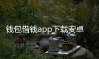 钱包借钱app下载安卓版：快速、安全的个人借款新体验