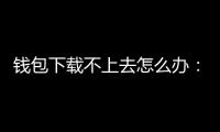 钱包下载不上去怎么办：从排查到落地的全方位解决方案