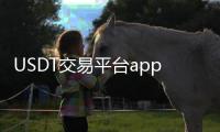 USDT交易平台app下载:全方位解密与易用下载指南