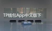 TP钱包App中文版下载：开启你的去中心化金融新入口