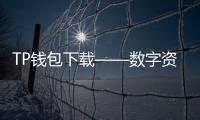 TP钱包下载——数字资产管理的智能选择