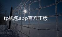 tp钱包app官方正版,安全高效的数字资产管家