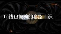 tp钱包被骗的套路:识别伎俩、守护资产的实用指南