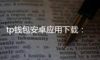 tp钱包安卓应用下载:开启你的非托管数字资产管理之旅