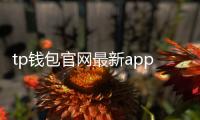 tp钱包官网最新app：一站式多链数字资产管理的未来