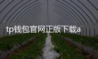 tp钱包官网正版下载app:官方渠道释放高效安全的数字资产管理新体验
