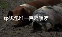 tp钱包唯一官网解读:官方入口背后的信任与体验