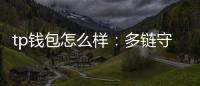 tp钱包怎么样：多链守护资产、简便操作的软文解读